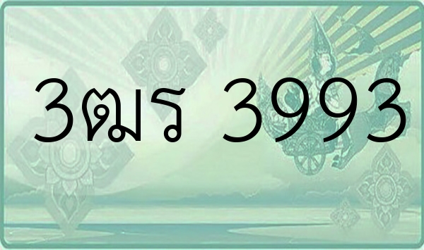 3ฒร 3993